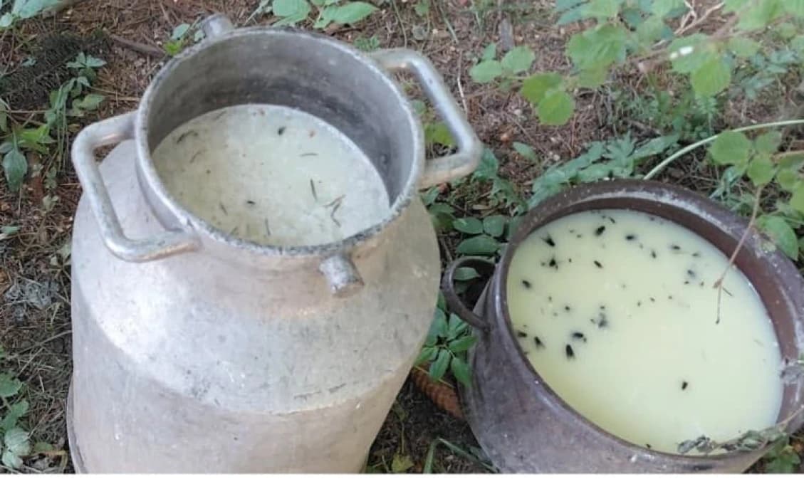 FOTO! Potravinový ŠOK na Liptove: Muž mal predávať syry so salmonelou, ľudia skončili v nemocnici!