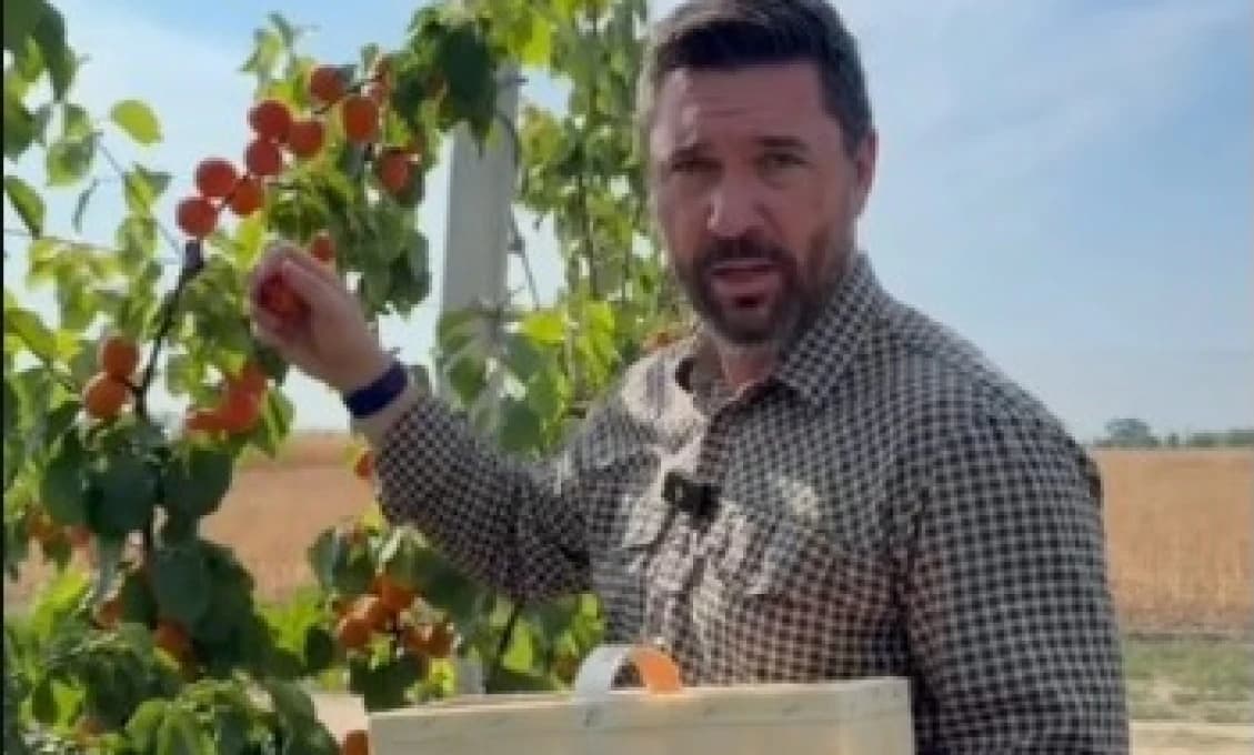 Minister Takáč na samozbere marhúľ. Sľubuje fér sezónne zamestnávanie (VIDEO)