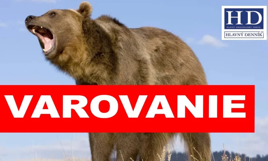 POPLACH V 2 MESTÁCH Varujú pred medveďmi! Už to rieši zásahový tím s dronmi