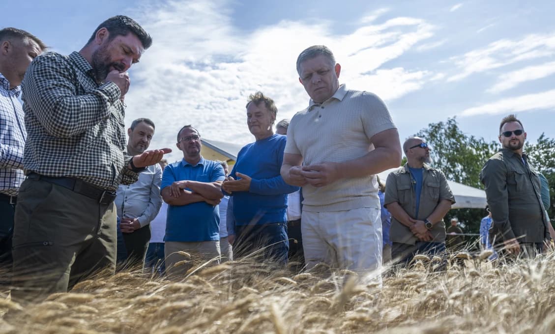 Žatva na Slovensku je v plnom prúde, sucho a teplo budú mať vplyv na výnosy plodín aj krmovín