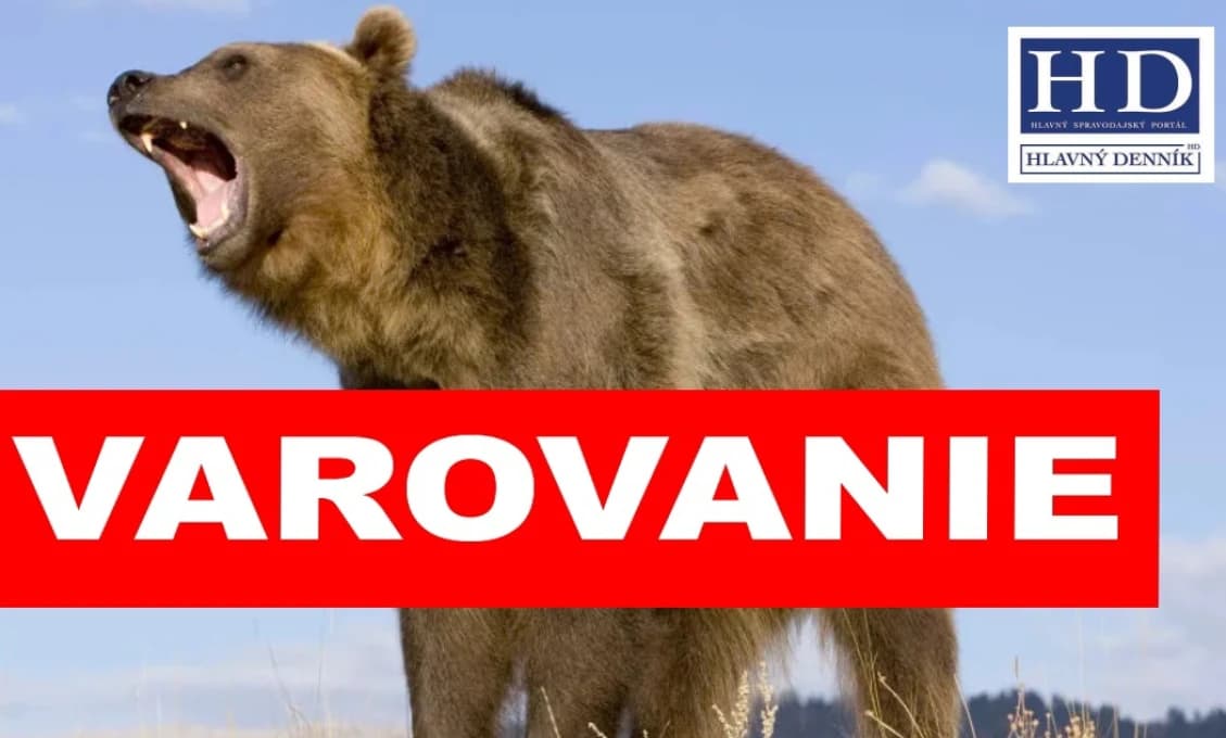 POPLACH V ULICIACH! Medveď prišiel priamo k domom
