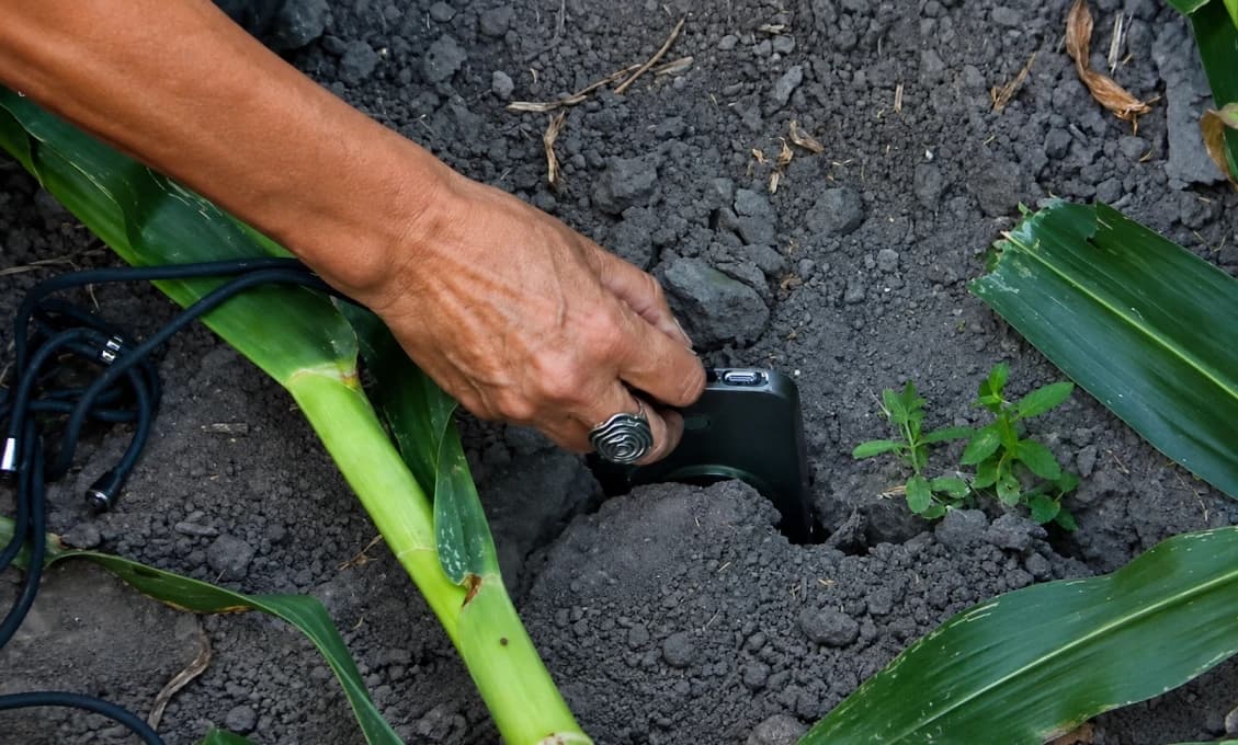 Pukliny v zemi ako po katastrofe: Sucho ničí polia a farmári rátajú škody (VIDEO)