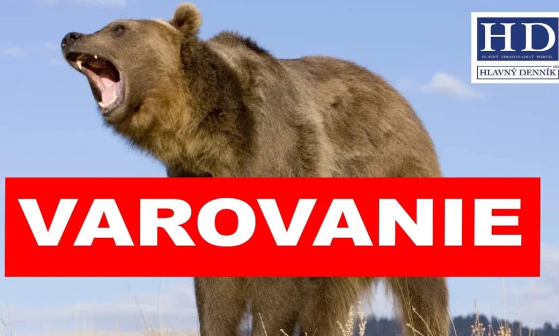 MIMORIADNA SITUÁCIA V 55 OKRESOCH! Medvede pred domom, na uliciach, turistických chodníkoch...