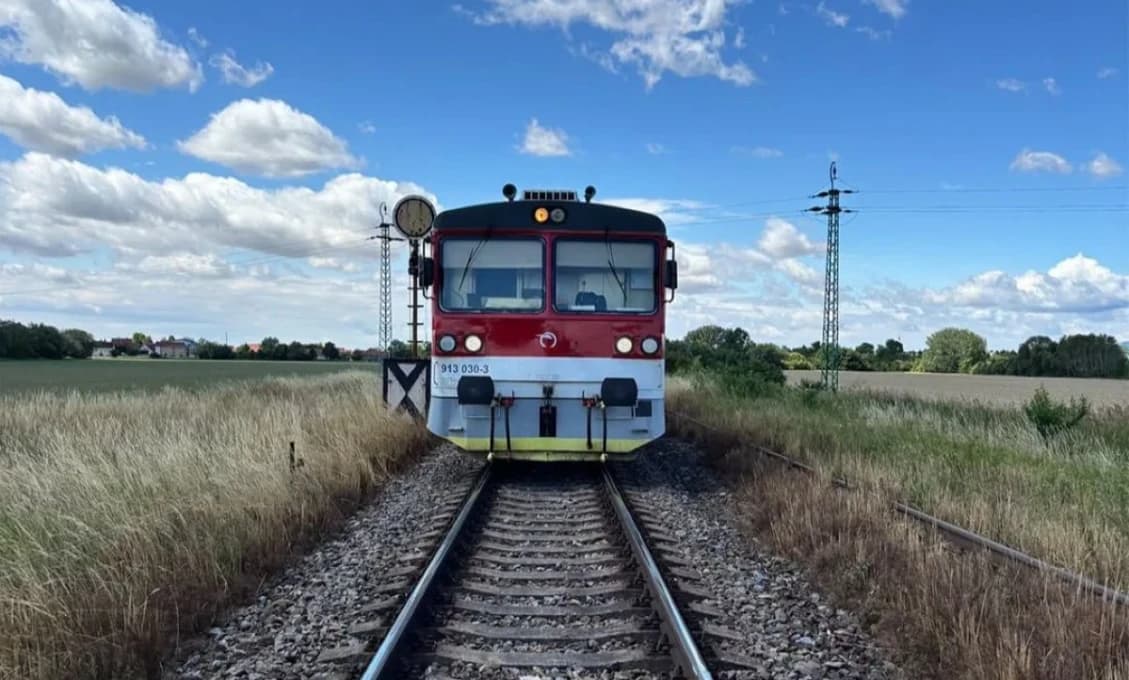 NEUVERITEĽNÉ! VLAKY ZASTAVIL HAD. Spôsobil škody pod napätím 25 000 voltov!
