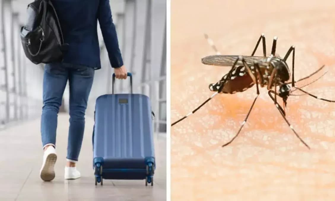 SMRTEĽNÝ ČIERNY PASAŽIER? Infikovaný komár z paluby lietadla mal nakaziť štyroch ľudí