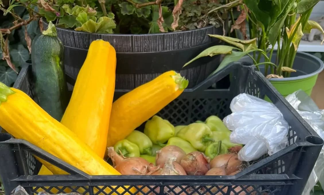 Mala VIAC, NEŽ POTREBOVALA. To, čo urobila potom, dojalo celé Slovensko