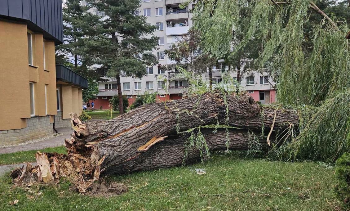 ŠIALENÉ POČASIE NA SLOVENSKU! Tisíce bleskov, krúpy, vyvrátený strom a v TATRÁCH SNEŽILO
