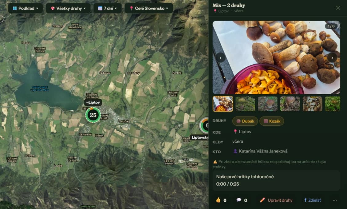 HUBÁRI, POZOR! Nová online mapa vám ukáže, KDE RASTÚ HUBY práve teraz