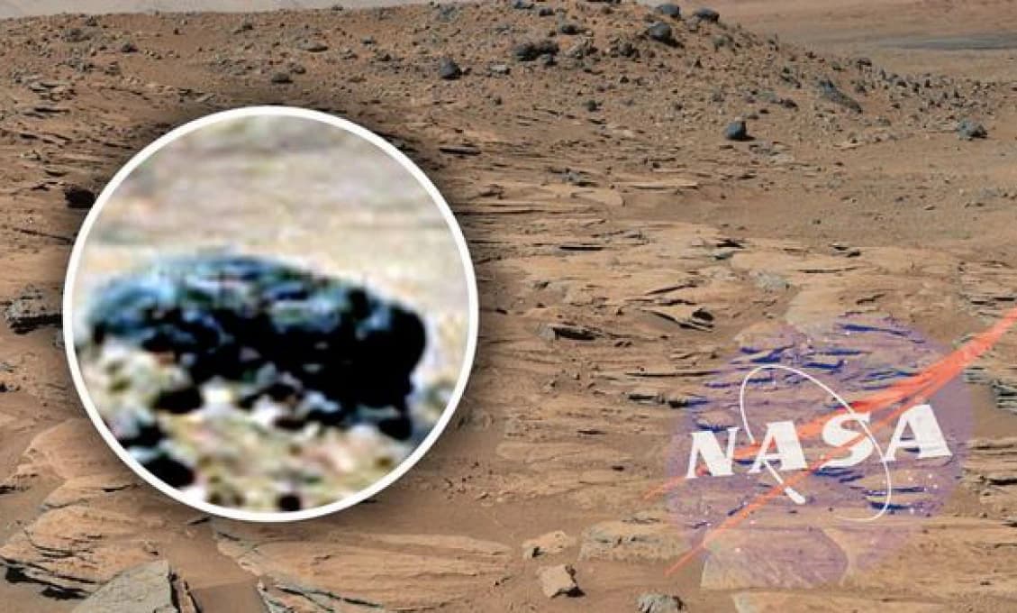 Blaha vracia úder Sulíkovi a Matovičovi. Cestoval si do martinskej knižnice, Igorko? Pýta sa