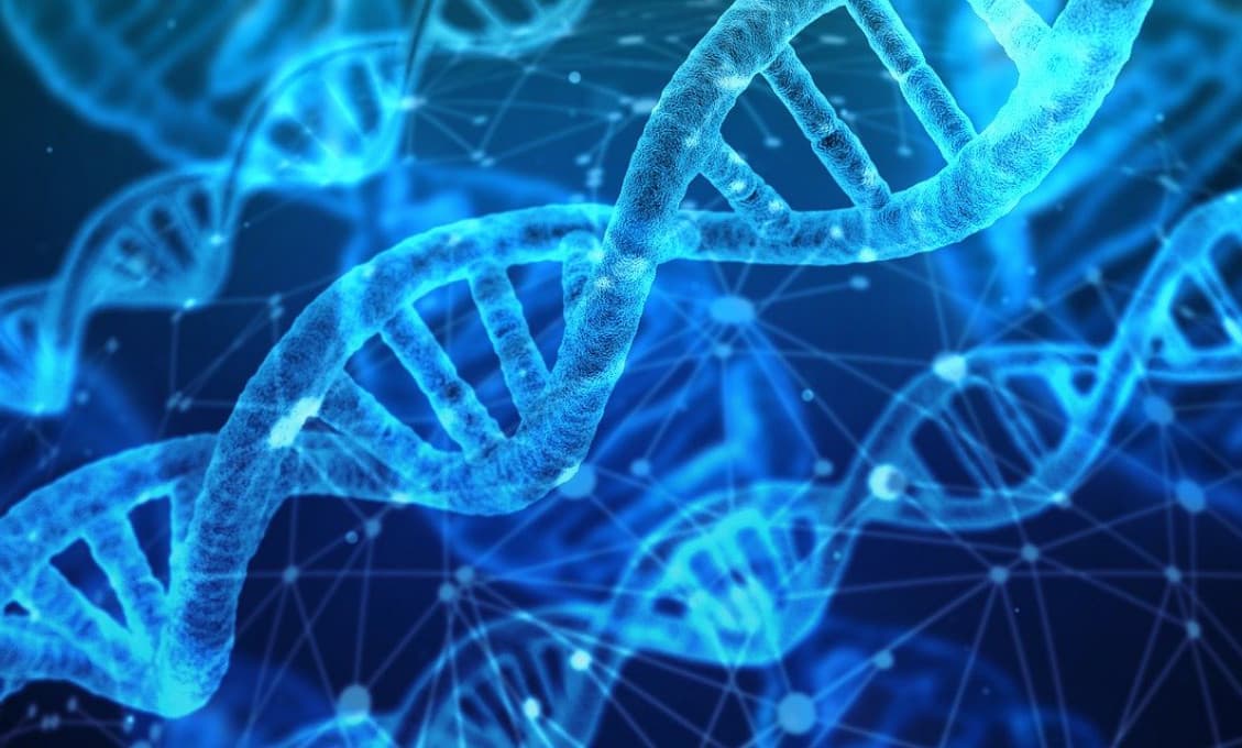 Základné proteíny by mohli vyriešiť záhadu života na Zemi