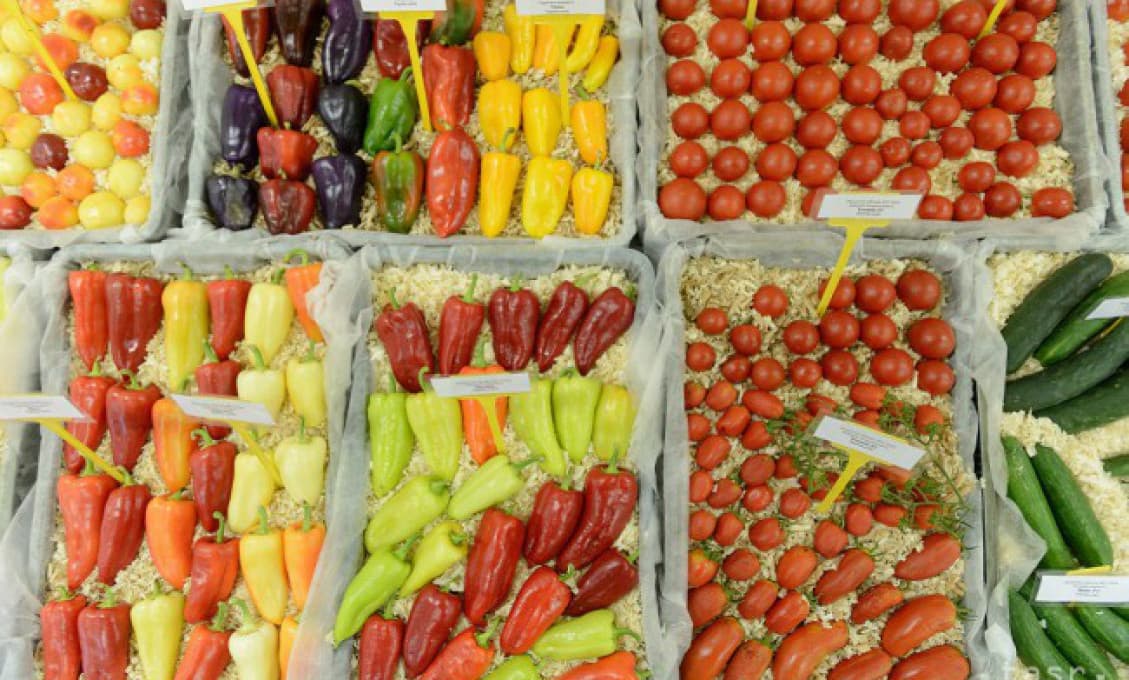 Agrorezort plánuje znížiť minimálnu pokutu pri opakovanom porušení povinností pri potravinách