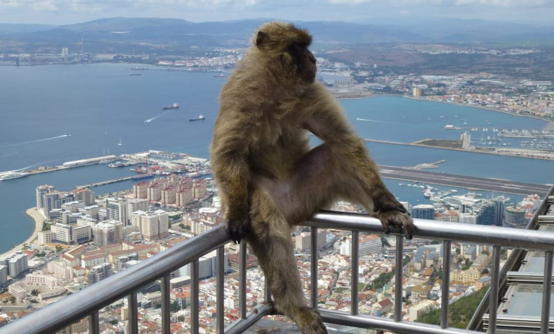 Na Gibraltár môžu Slováci aj po brexite iba na občiansky preukaz