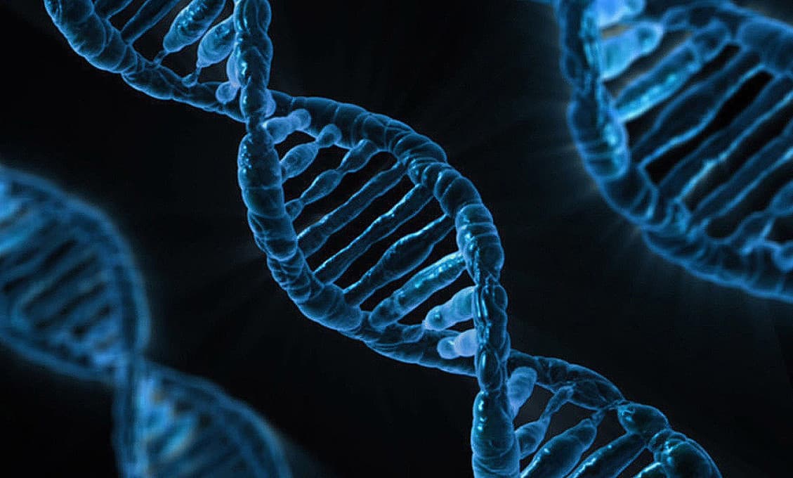 Imunológ: Zmeny na DNA spôsobí skôr zlá strava a fajčenie ako očkovanie