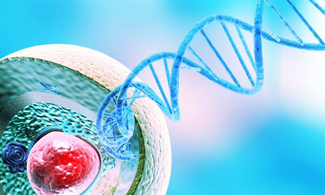 Syntetická DNA, alebo ako nepozorovane a natrvalo zmeniť ľudskú DNA (Kathrin Sumpfová)