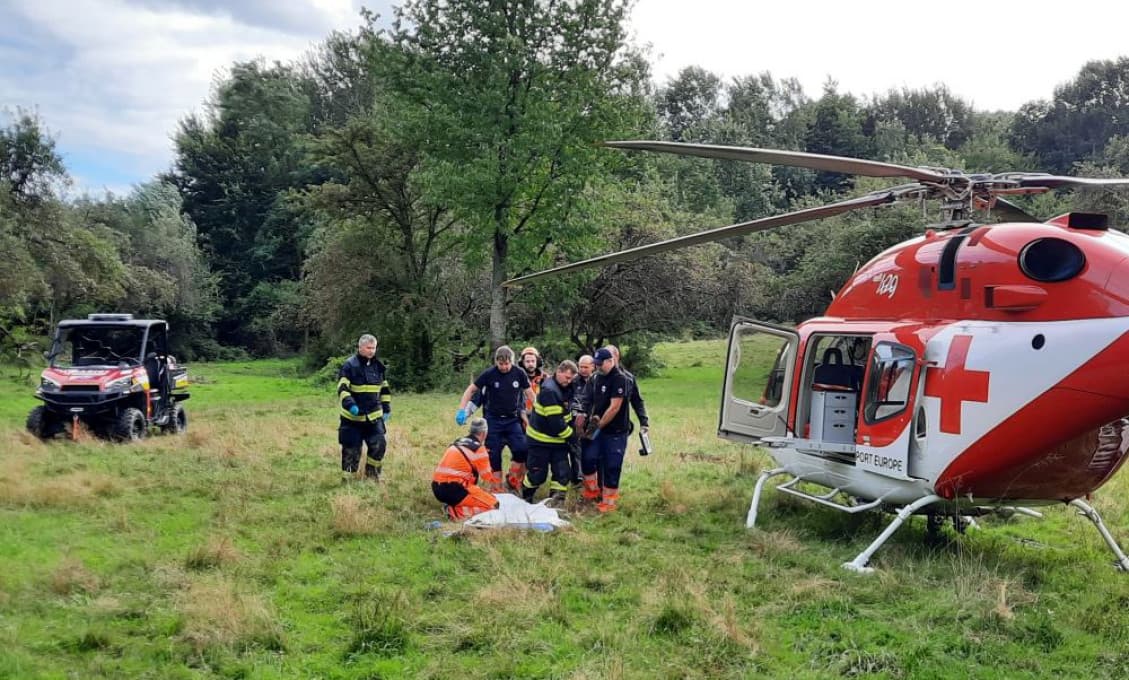 Hrôza na strednom Slovensku: Medveď v ovocnom sade napadol ženu! Mala obrovské šťastie - prežila