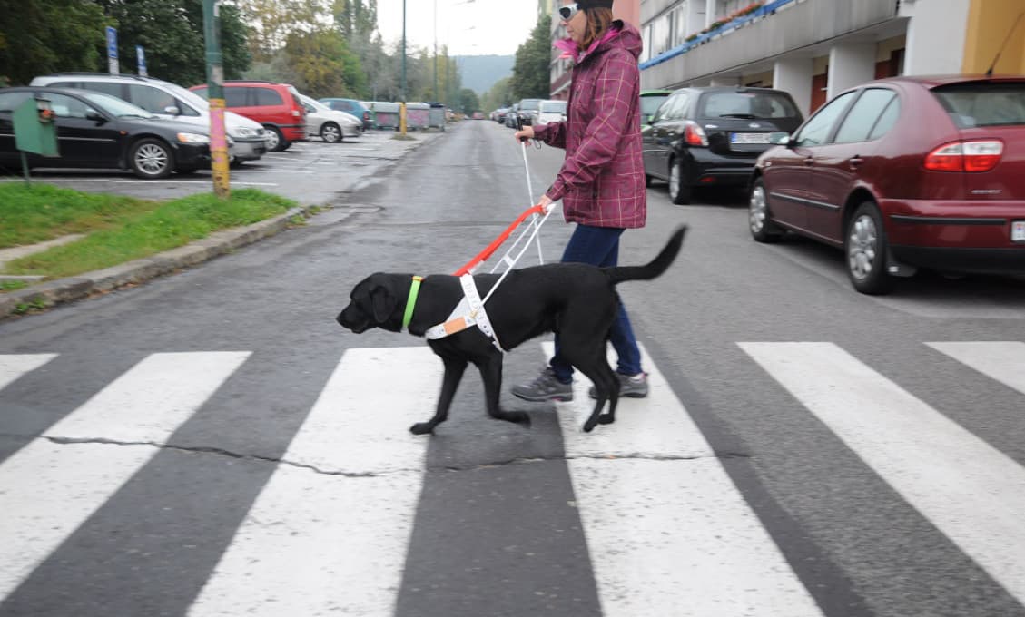 Ako dopadla Biela palica včera na našich cestách?