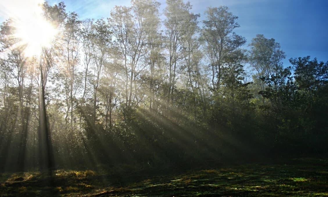 Európu prepadla jar, v Anglicku je 15 stupňov