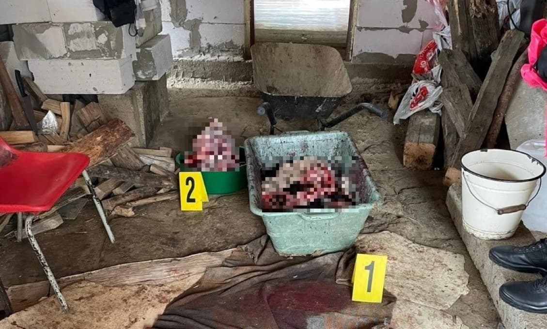 Brutálne zabil a rozporcoval psov: Nemal som čo jesť!