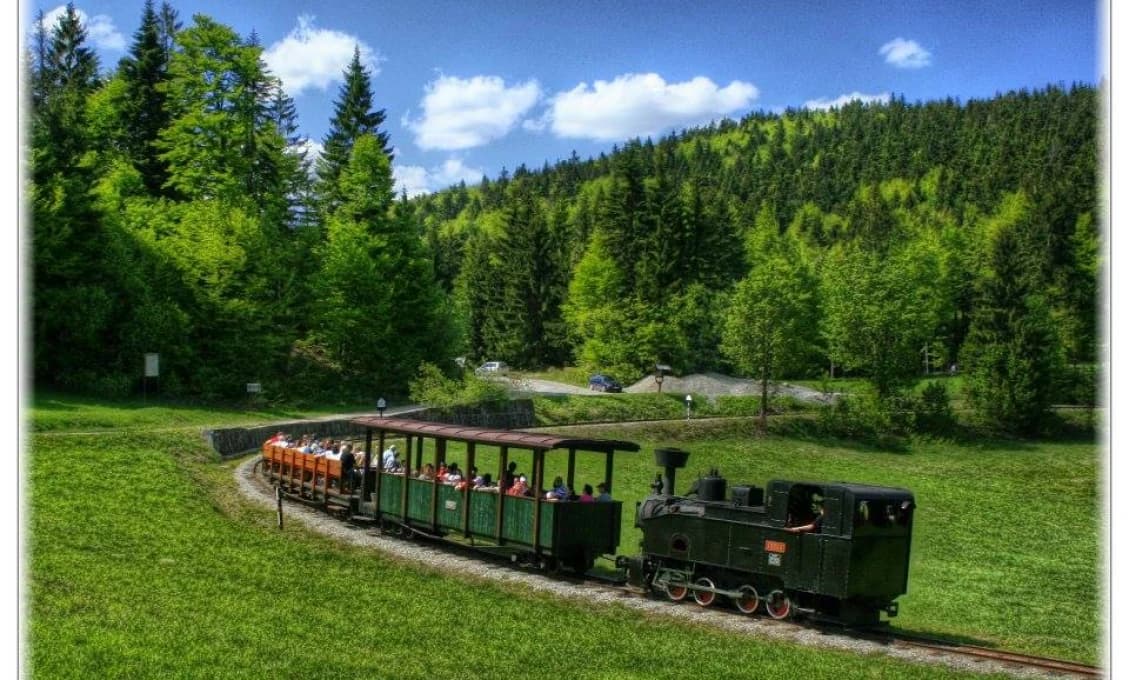 Oravská lesná železnica nepremáva, dôvodom je plánovaná oprava trate