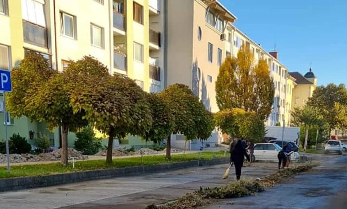 Šaľa: V meste pribudnú stovky kusov nových drevín