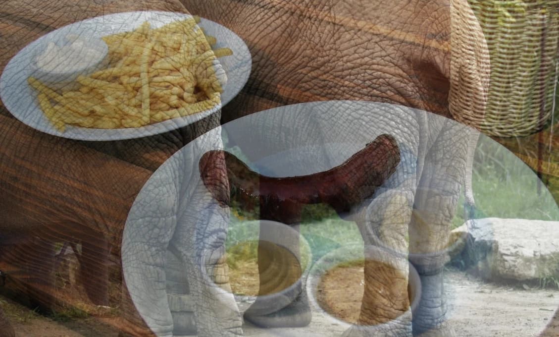A čo tak predstaviť chren a zadky?
