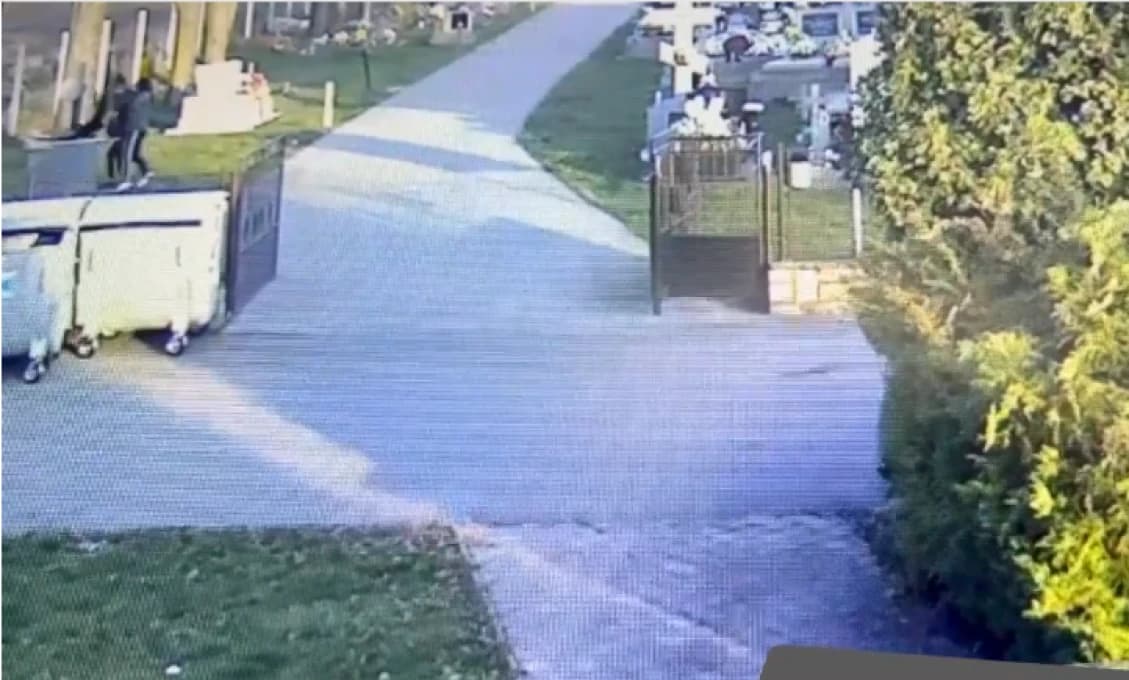 Hrozivé video! Žena bezcitne hodila psíka do studne, už je obvinená