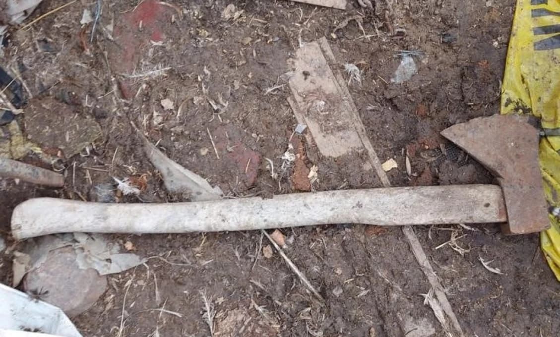MUŽ KOVOVOU SEKEROU UBIL SVOJHO PSA NA SMRŤ! (FOTO)