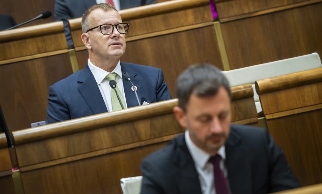 Parlament o migoch rozhodovať nebude! Našiel sa iný spôsob