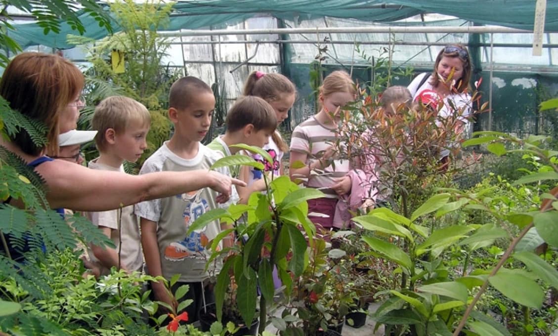 Botanická záhrada v Nitre ponúkne Beh o život, grilovačku a ochutnávku piva