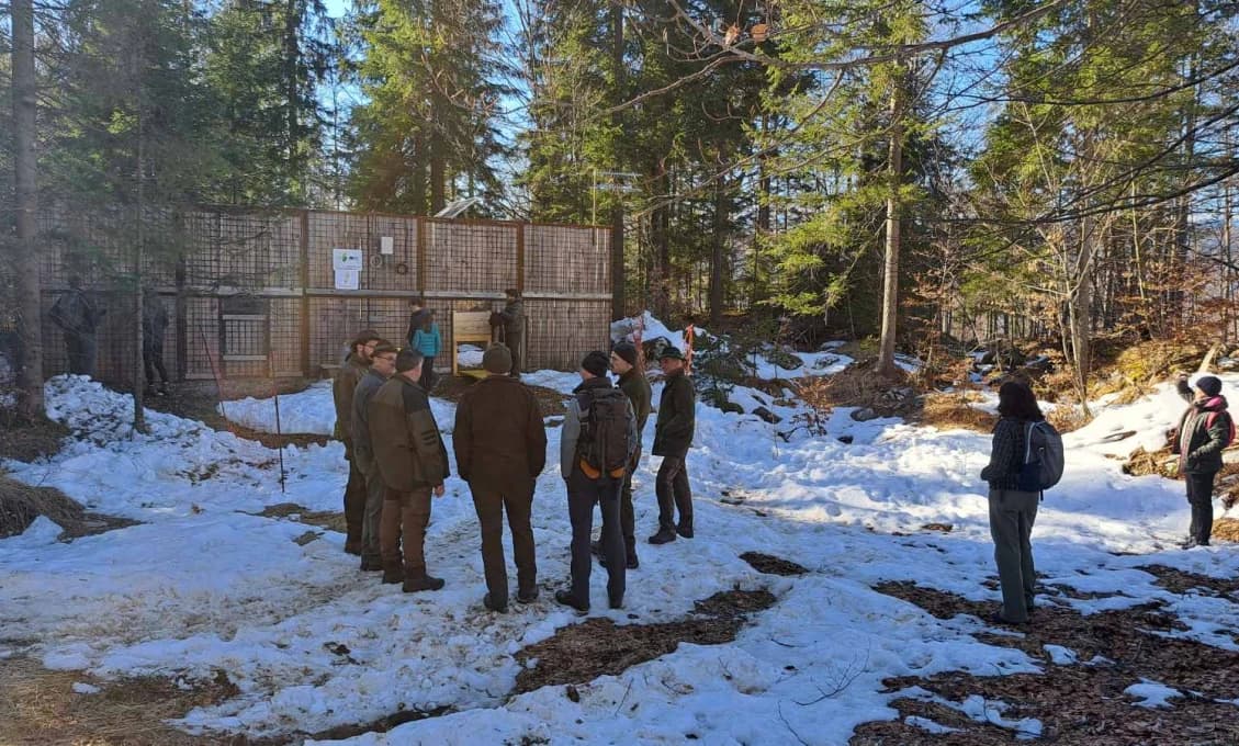 Rys Lukáš sa už nachádza v Slovinsku (FOTO)