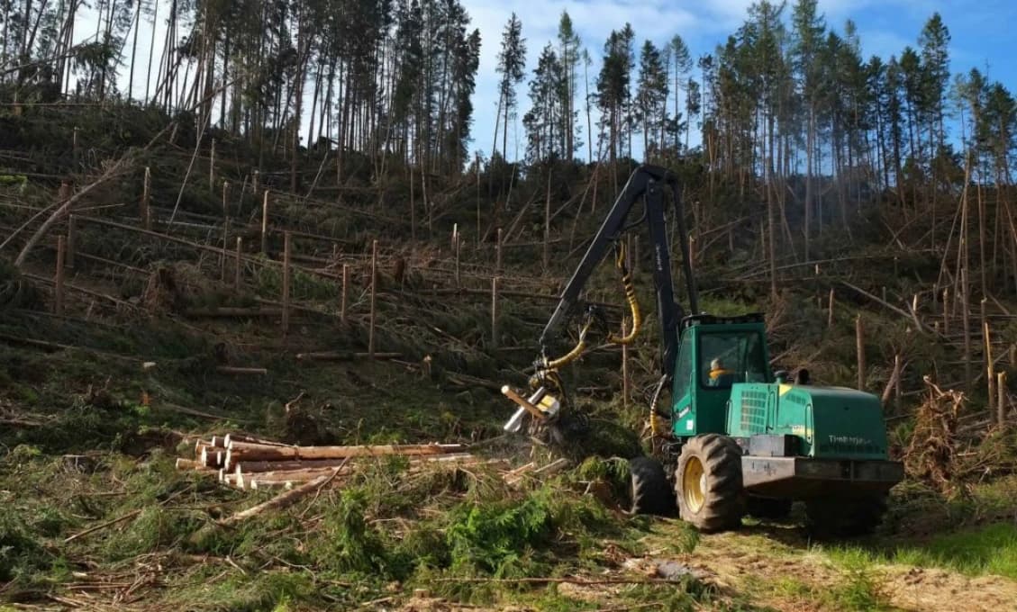 Enviropolícia riešila vlani 2627 prípadov trestnej činnosti