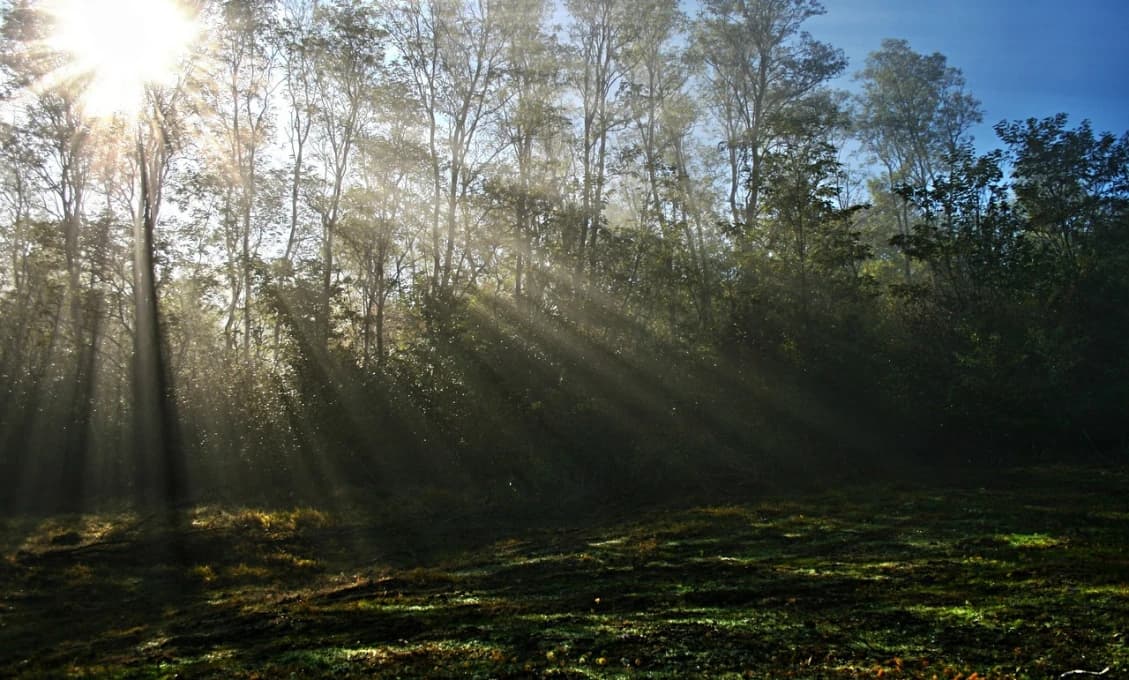 Aj toto ešte stihli! Na Slovensku vzniknú tri nové chránené územia