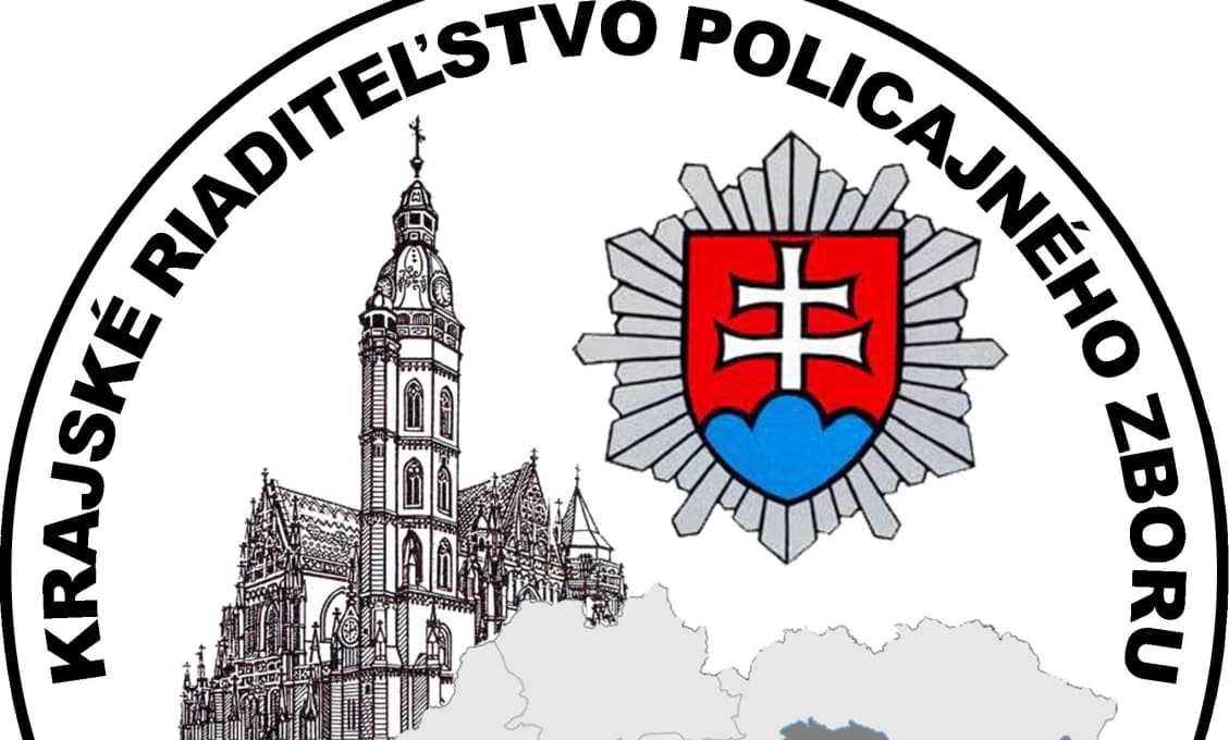 Na vjazde do Košíc auto zrazilo mladého medveďa (FOTO)