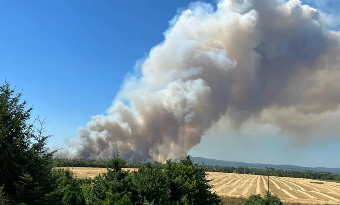 Požiar pri bratislavskom letisku sa podarilo lokalizovať (VIDEO)
