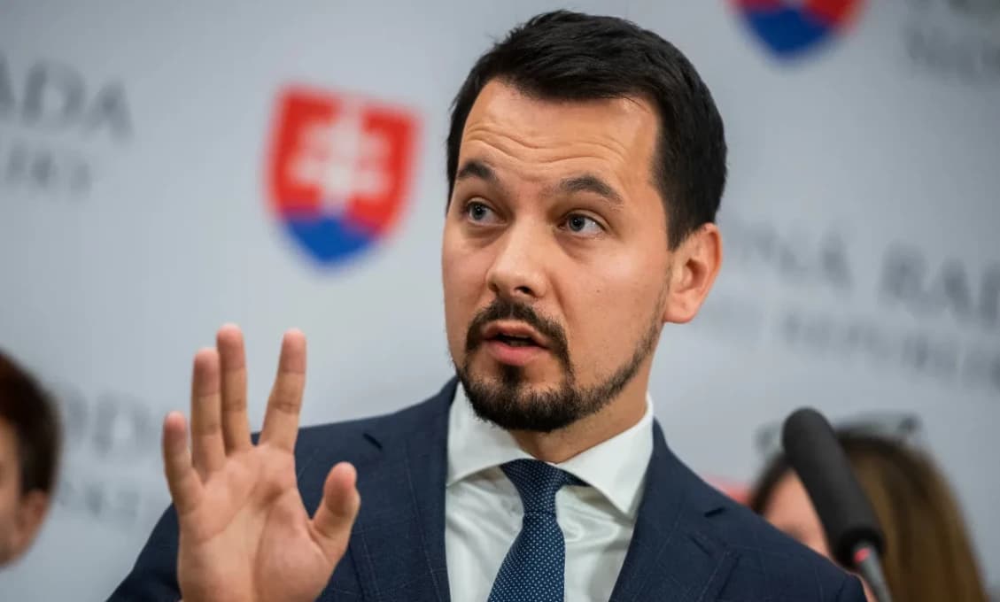 NIKDY TU DOBRE NEBUDE! Demokrati VS SaS