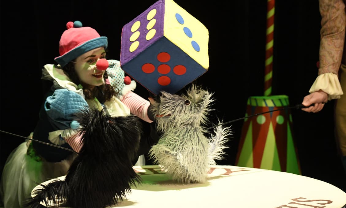 Trnava: V areáli nemocnice rozložili cirkus, tá to kritizuje