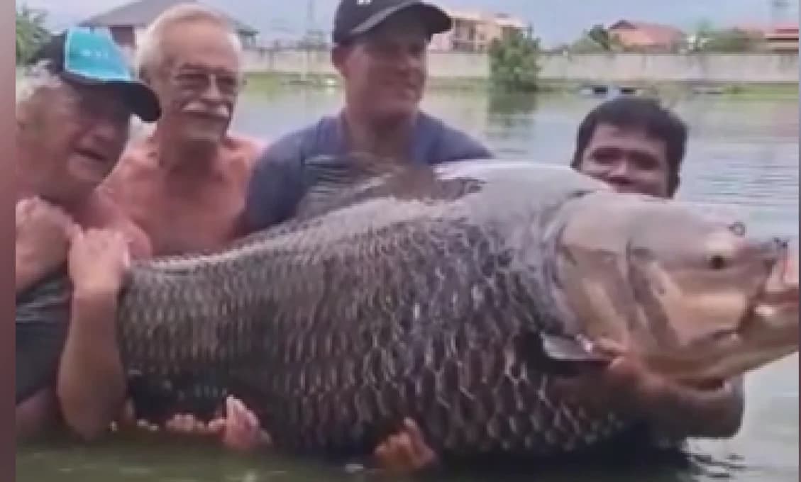 Muž na dovolenke ulovil rekordného kapra! Váhu mal 114kg