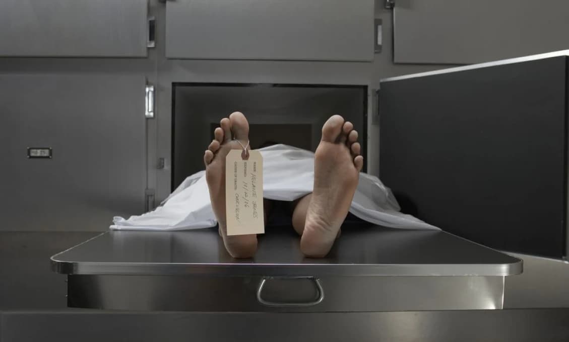 V Španielsku sa rozbehol zaujímavý biznis. Gang vykrádal márnice a slušne si privyrobil