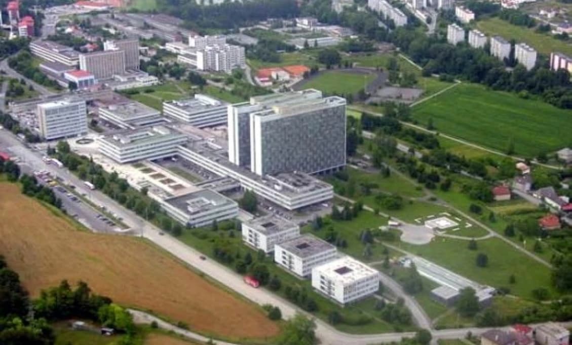 Športovcom roka Vlhová, Sagan až tretí