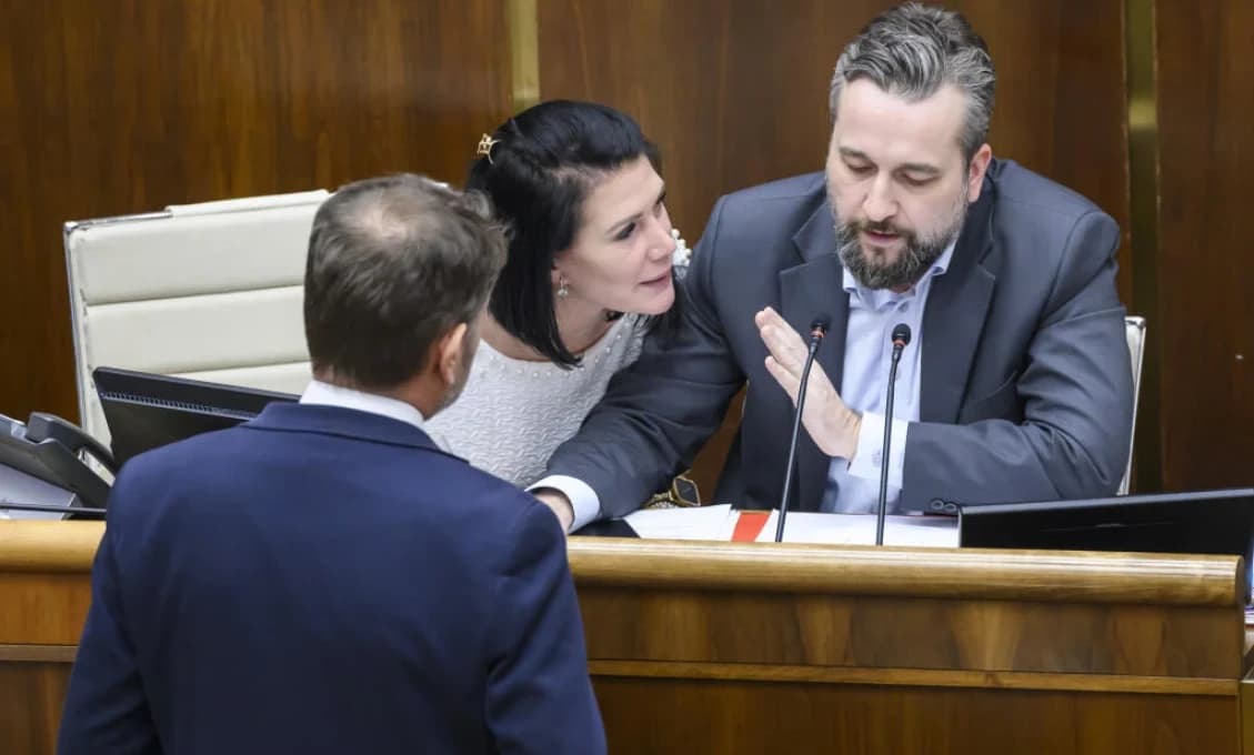 Prízraky parlamentnej revolúcie: Tupamaros Matovič, Hlina a Cigániková