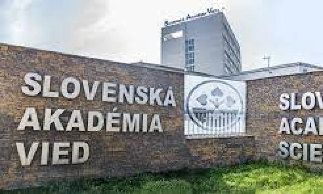 ĎALŠIA OBROVSKÁ HROZBA! Na Slovensku sa objavil prenášač až 22 vírusov