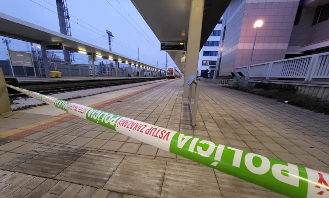 Obrovská tragédia! PO OTVORENÍ DVERÍ MLADÍK VYPADOL Z IDÚCEHO VLAKU