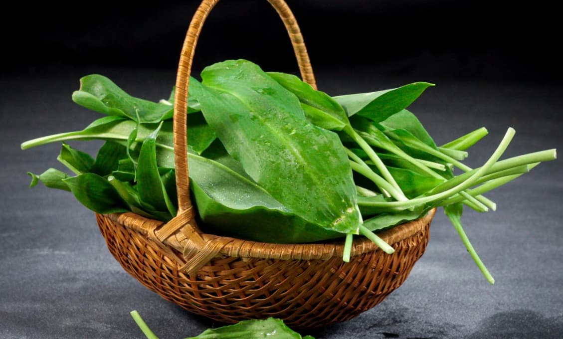 Mysleli si, že zbierali medvedí cesnak: Osudová CHYBA!