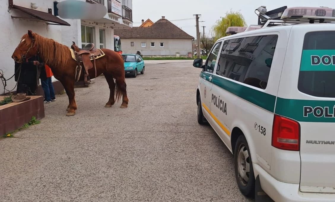 Na Záhorí ako na Divokom Západe: Policajti naháňali KOŇA!