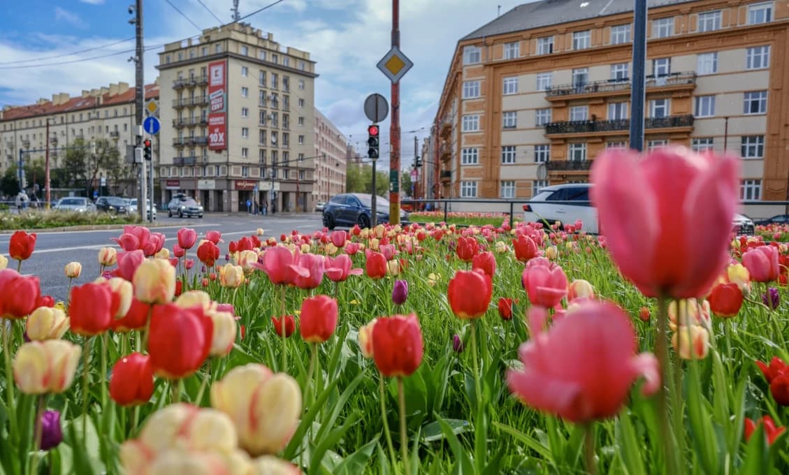Obvineniu z nebezpečného vyhrážania čelí 31-ročný muž z Ukrajiny