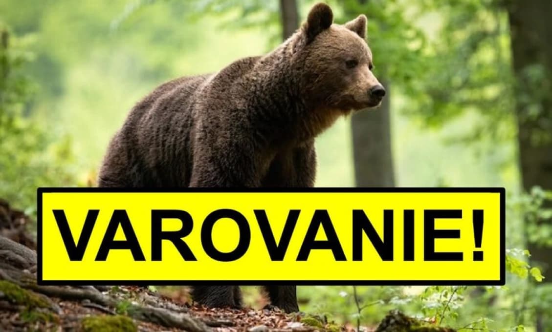 Medveď v TEJTO lokalite na človeka zaútočil po prvýkrát