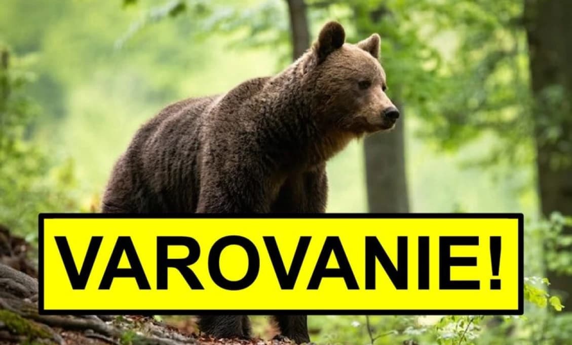 TU SI DÁVAJTE POZOR! Obec varuje! Na Západe sa pohybuje vyše stokilový medveď!