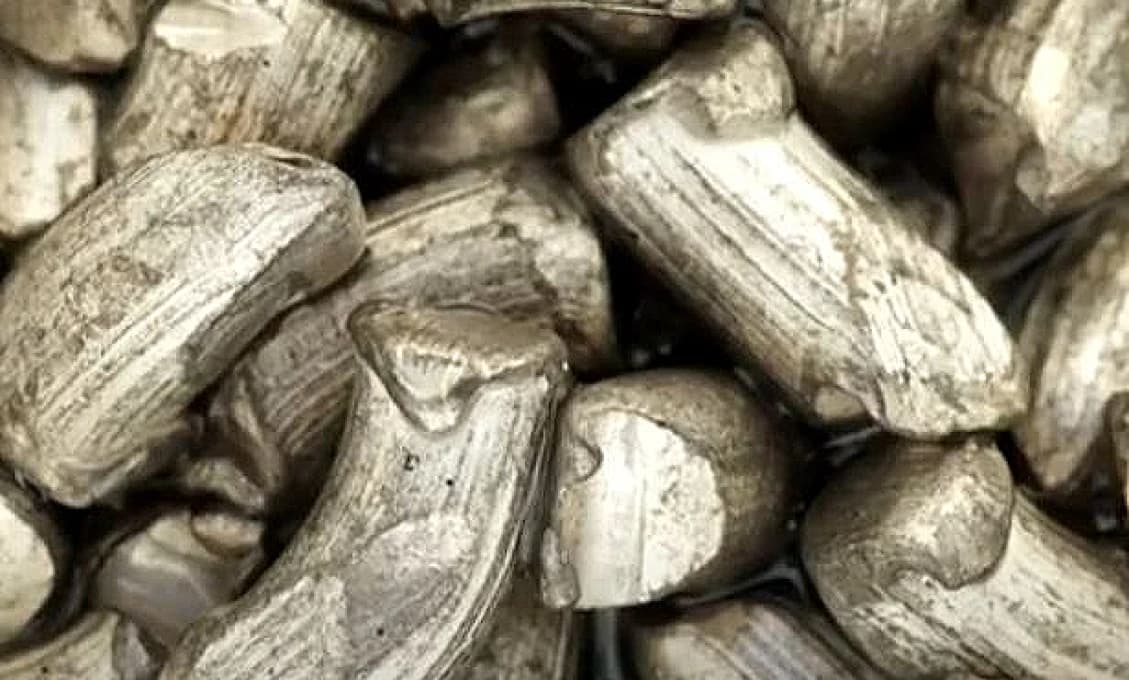 „Kšeftár“ prenajímal byty, ktoré mu nepatrili