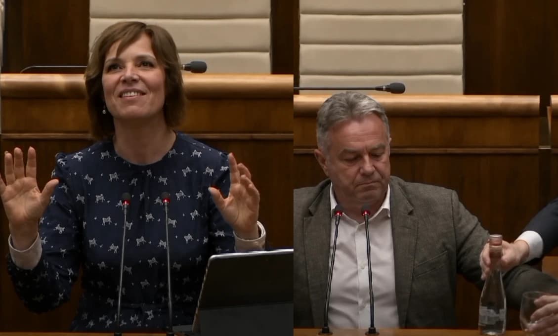 Čudné persóny v laviciach NR SR. Hádajte, kto ich tam priviedol
