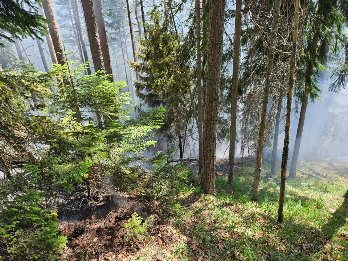 Vrch Kimberk